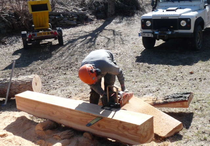 Délignage des arbres abattus en planches