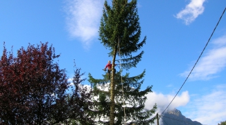 Démontage d'un épicéa à Bourg d'Oisans (38)